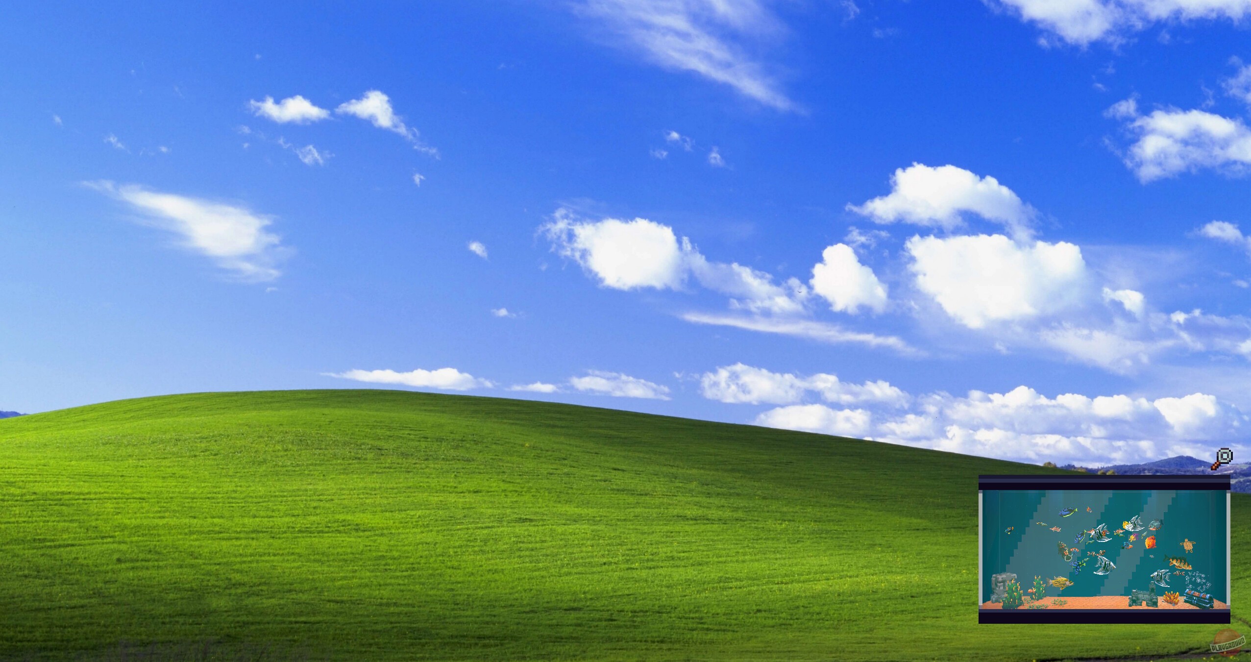 Скриншот из игры Tiny Aquarium: Social Fishkeeping - 4