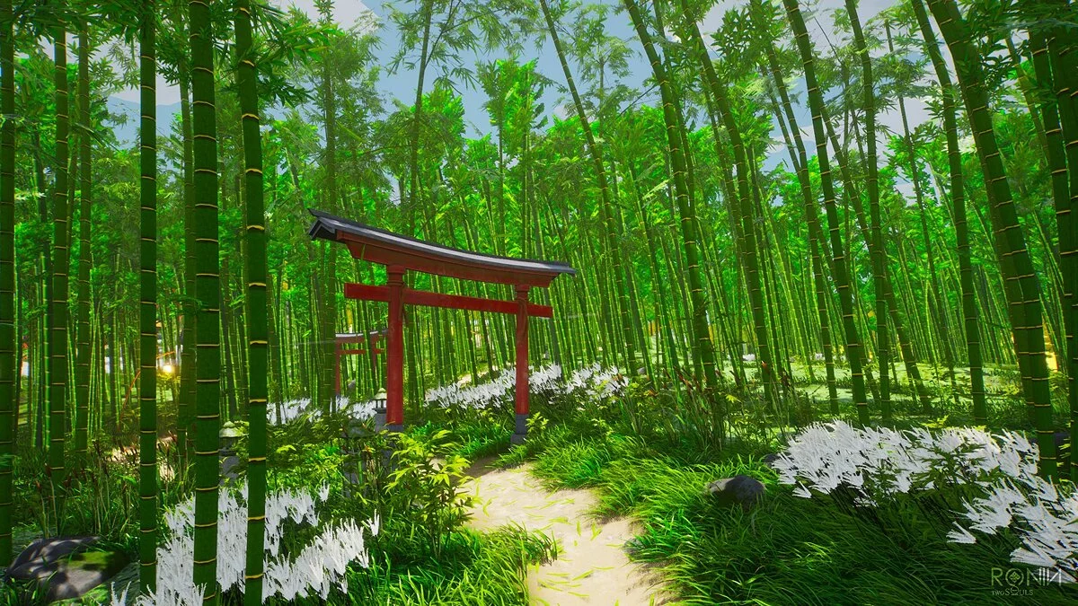 Скриншот из игры Ronin: Two Souls - 22