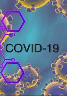Обложка игры COVID-19