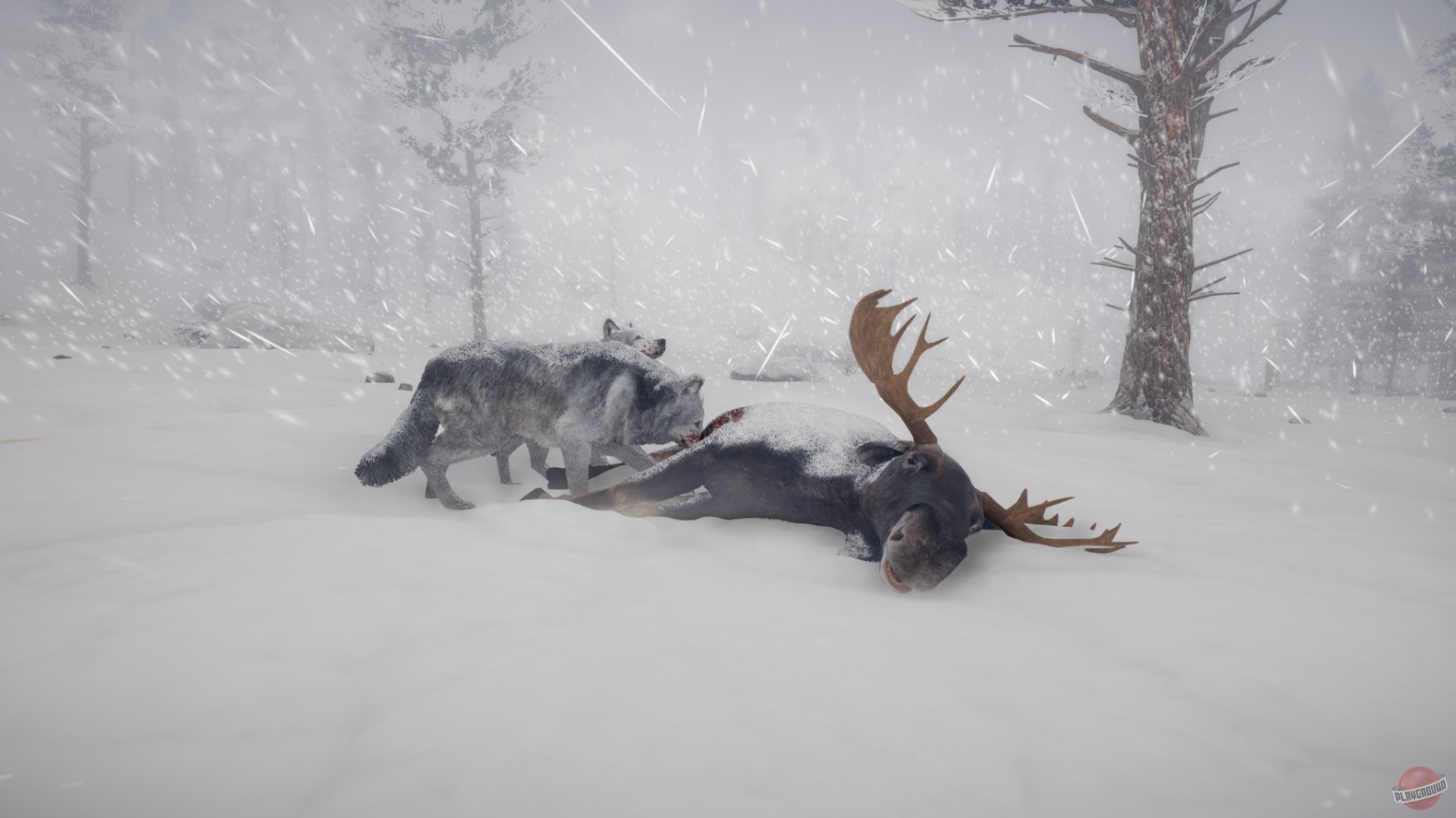 Скриншот из игры Northern Lights - 29