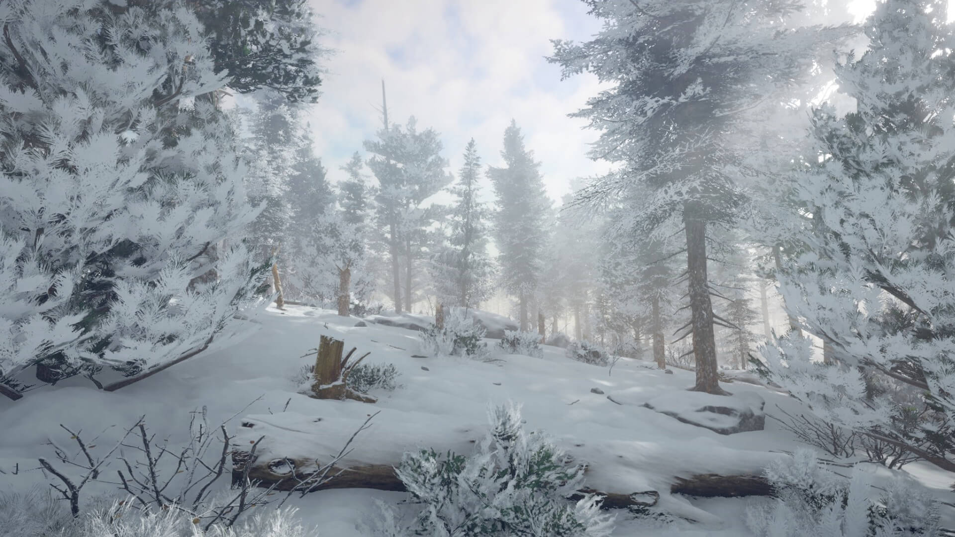 Скриншот из игры Northern Lights - 27