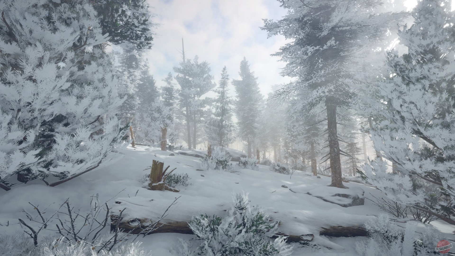 Скриншот из игры Northern Lights - 19