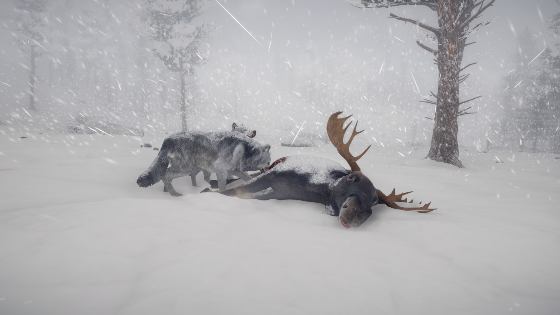 Скриншот из игры Northern Lights - 4