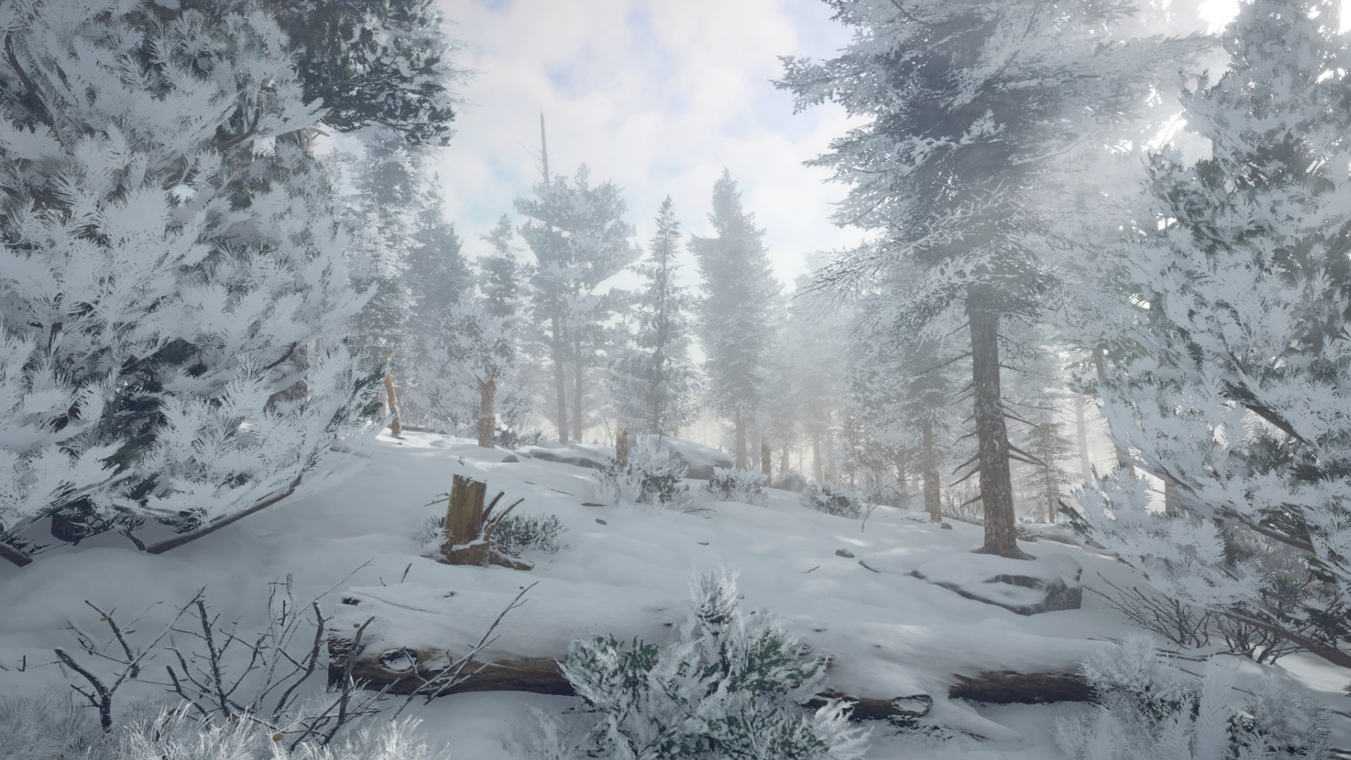 Скриншот из игры Northern Lights - 7