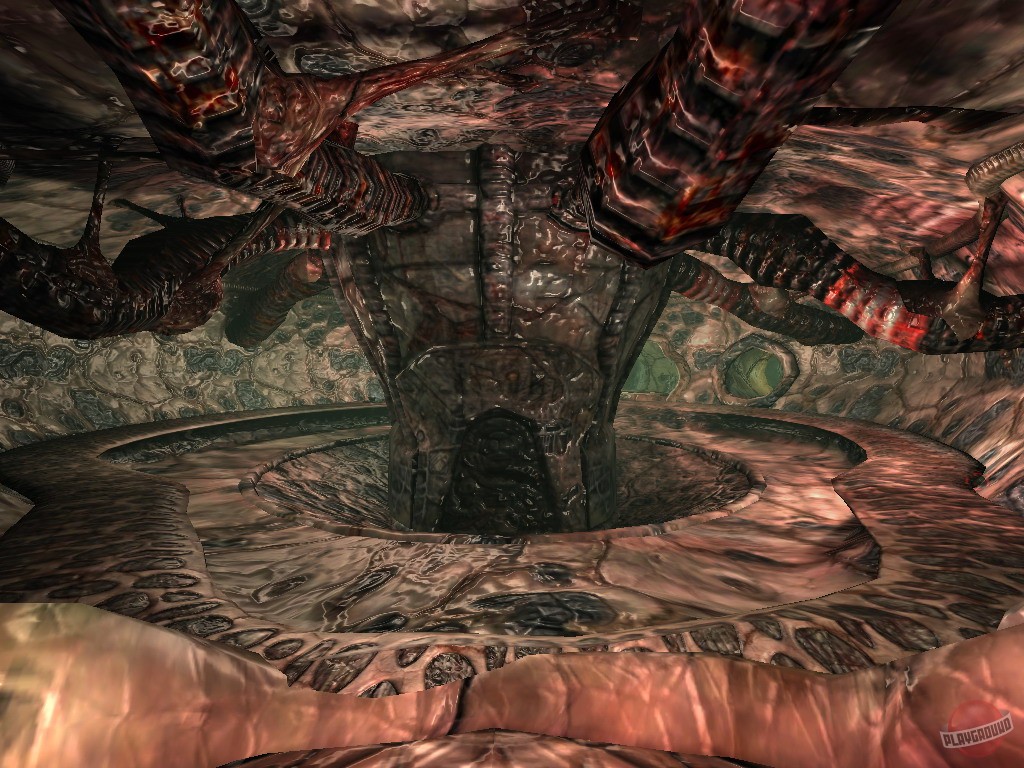 Скриншот из игры Велиан - 33