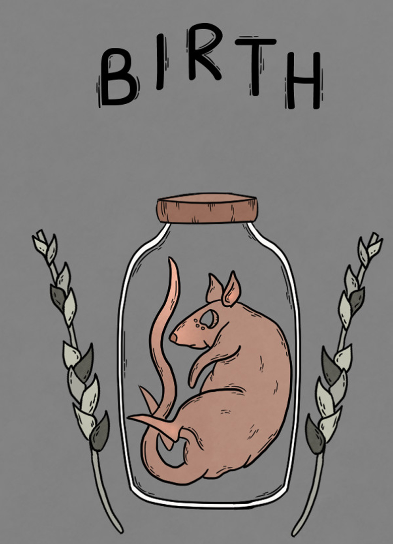 Обложка игры Birth