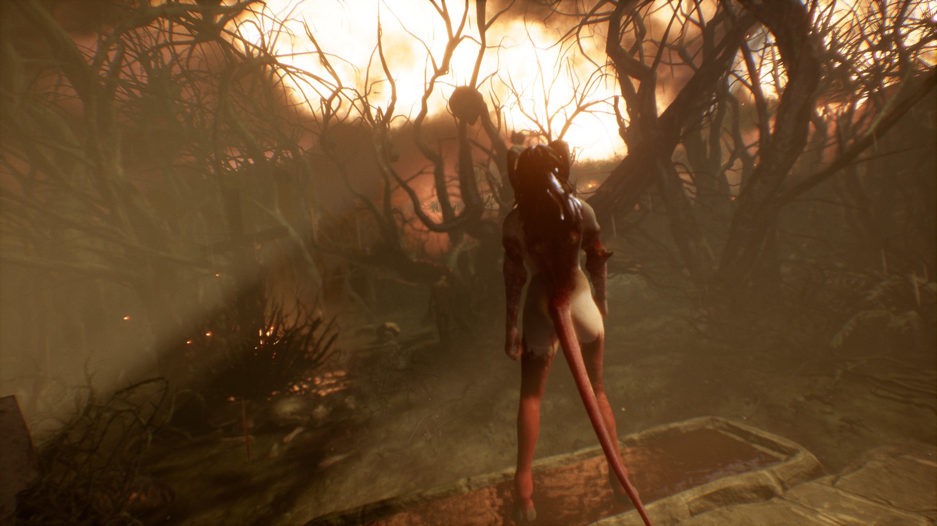 Скриншот из игры Succubus - 28