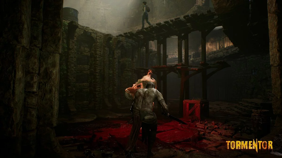 Скриншот из игры TORMENTOR - 14