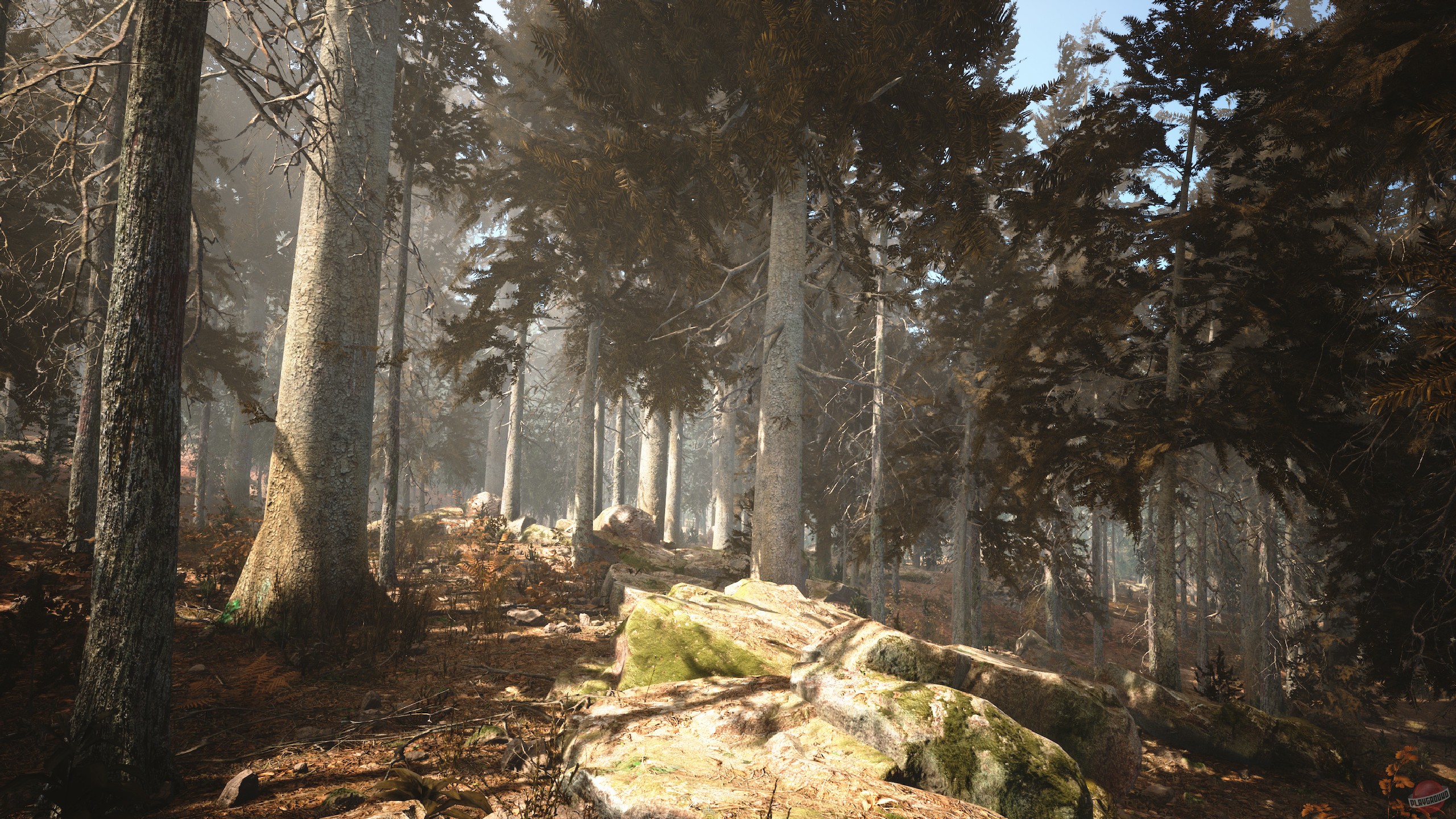 Скриншот из игры Photography Simulator - 12