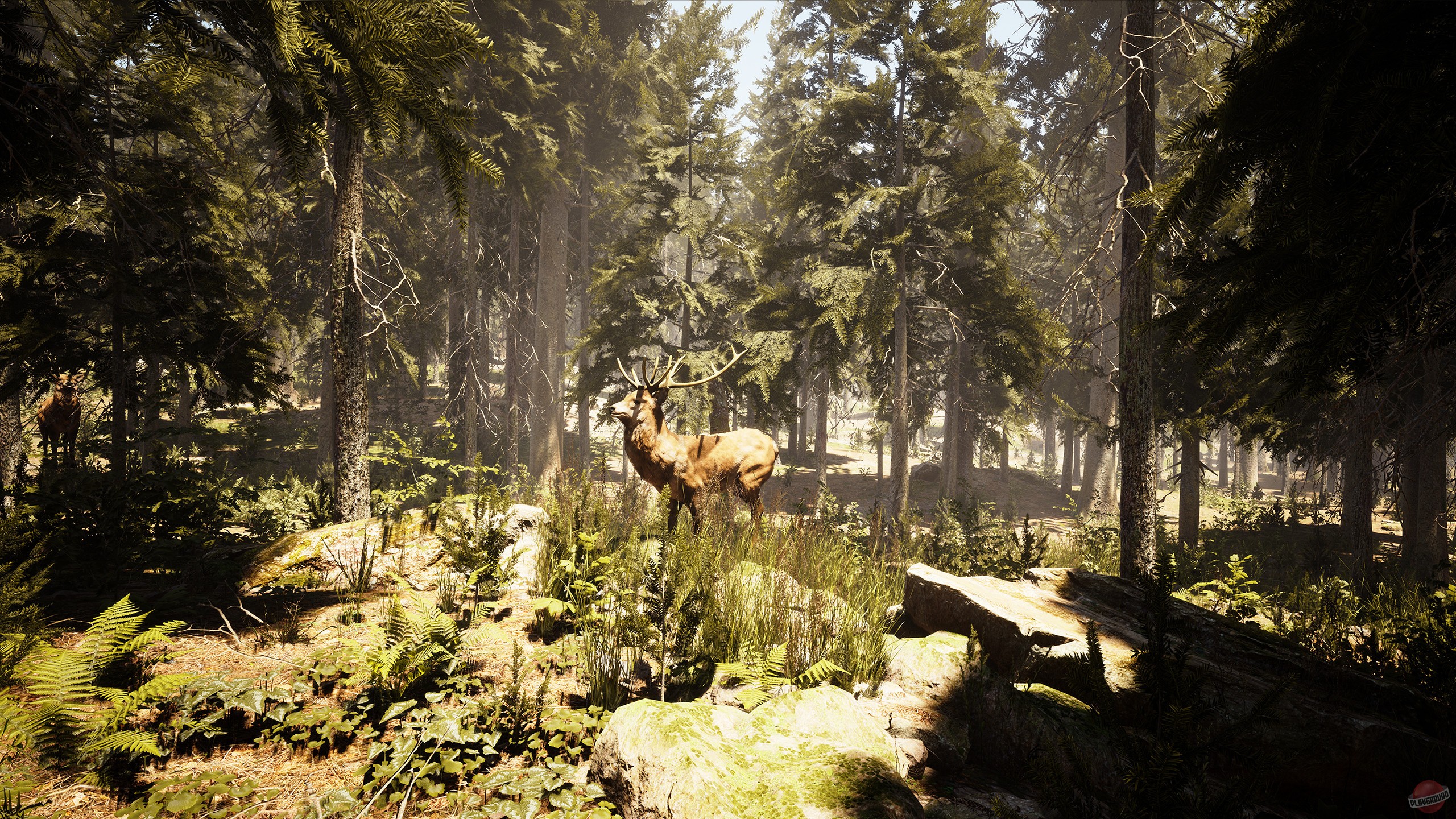 Скриншот из игры Photography Simulator - 6