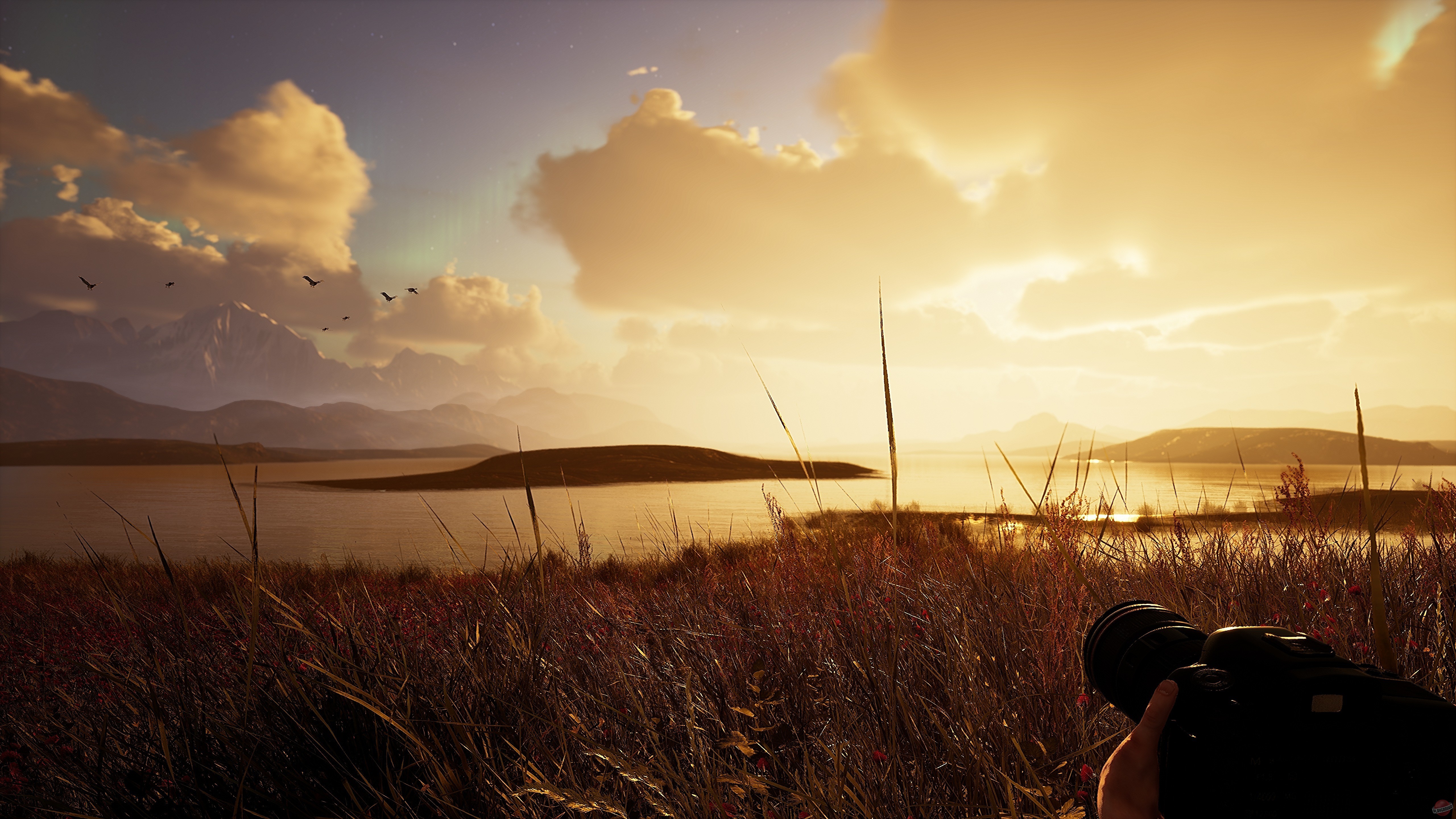 Скриншот из игры Photography Simulator - 7