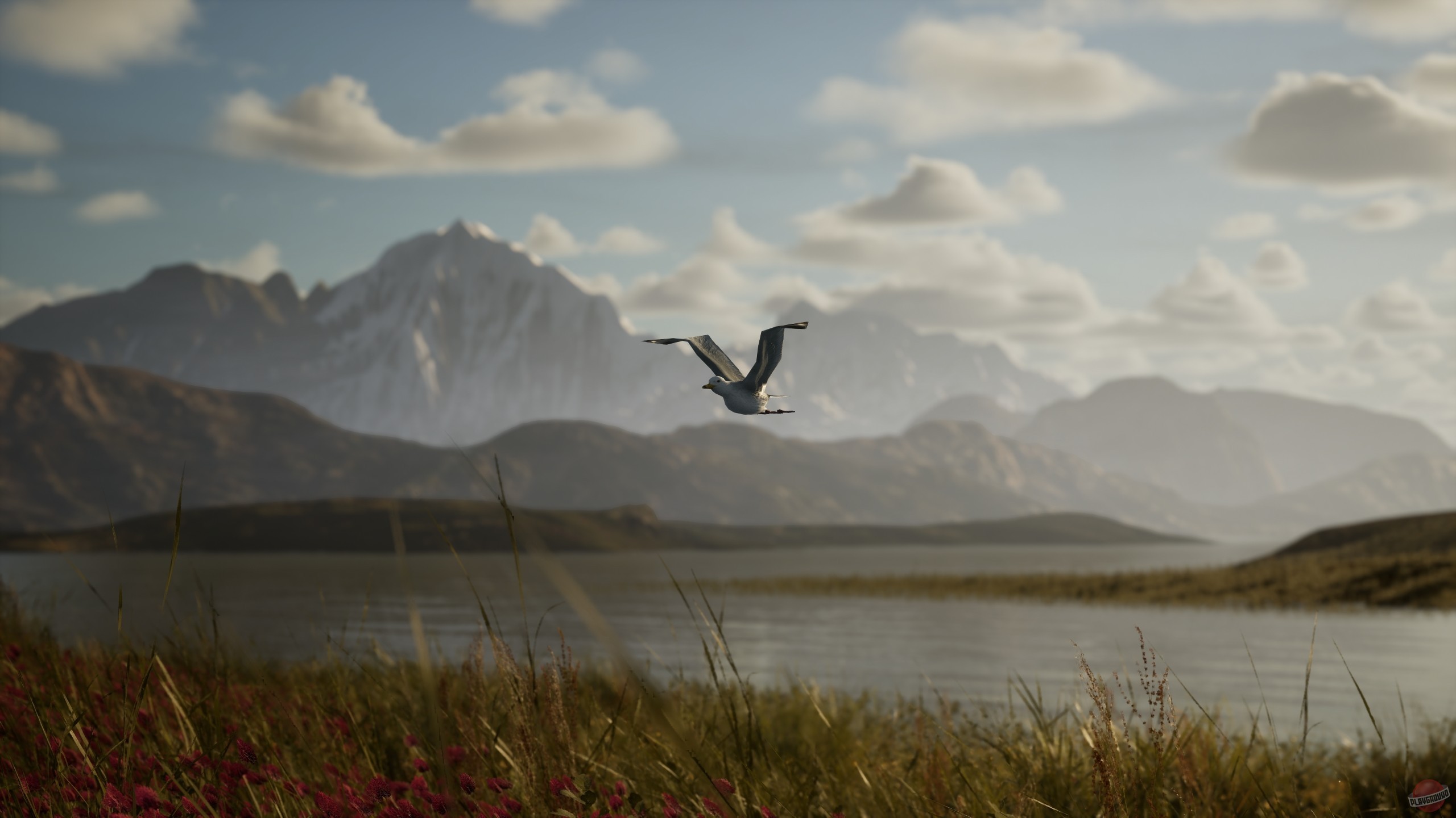 Скриншот из игры Photography Simulator - 8