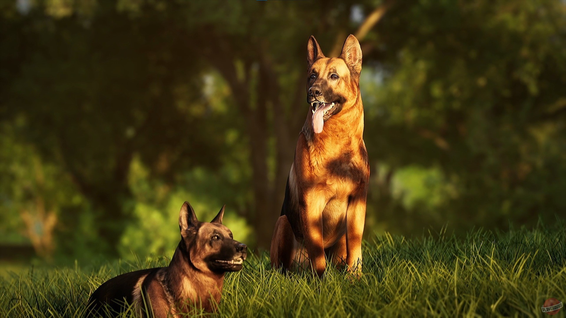 Скриншот из игры Photography Simulator - 1