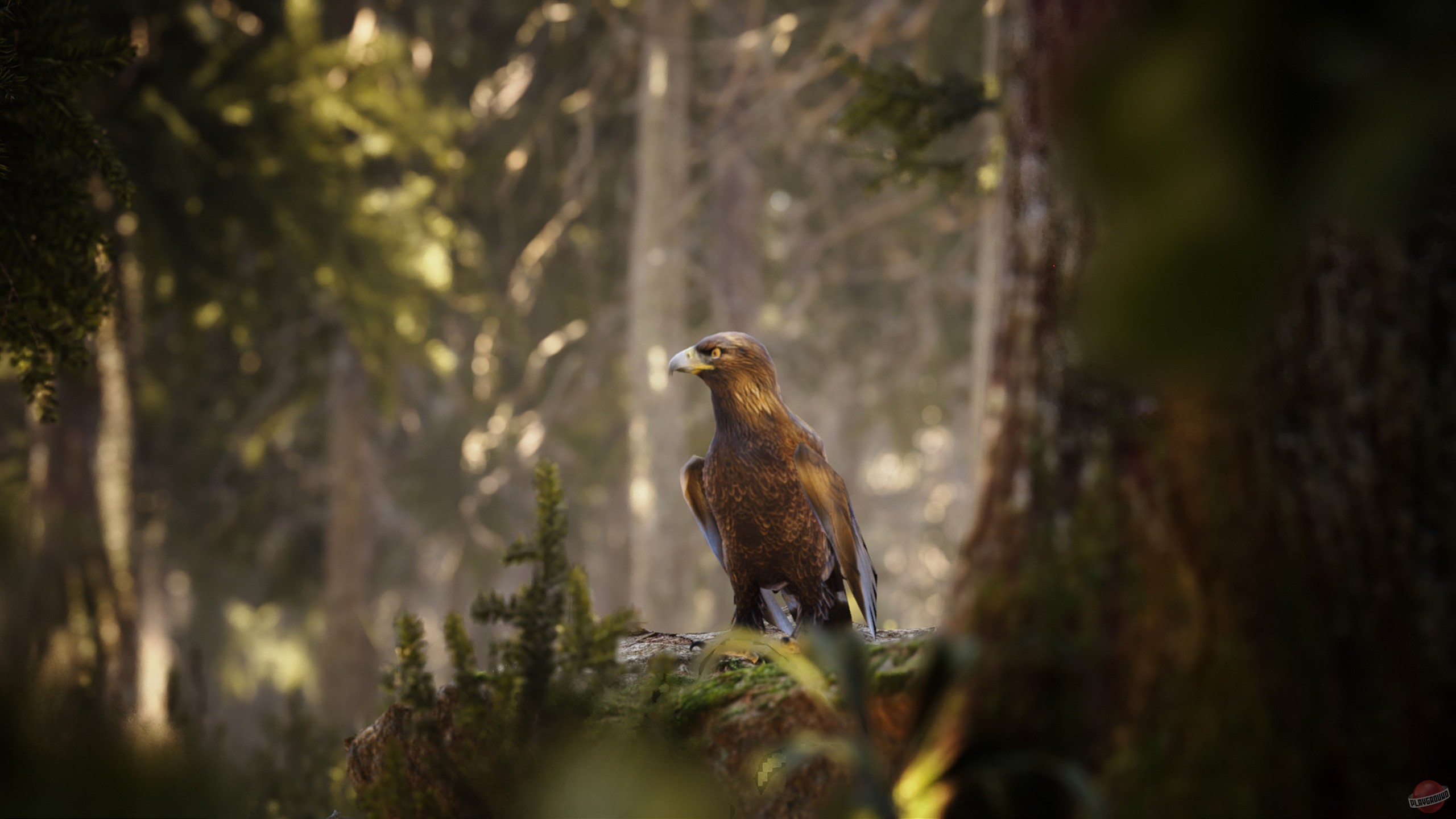 Скриншот из игры Photography Simulator - 11