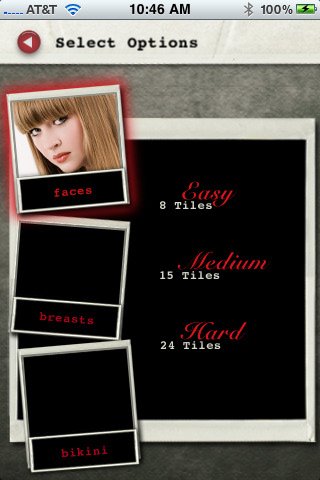 Скриншот из игры Pin Up Puzzle - 1