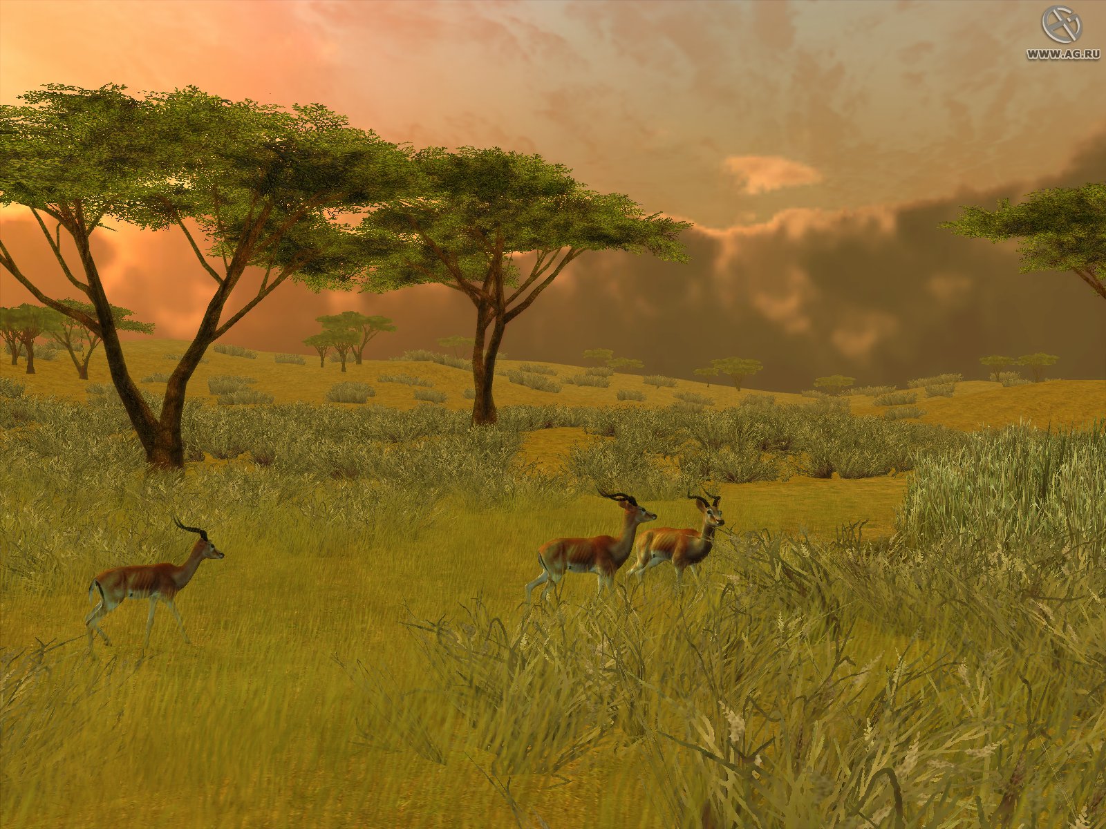 Скриншот из игры Cabela's African Safari - 53