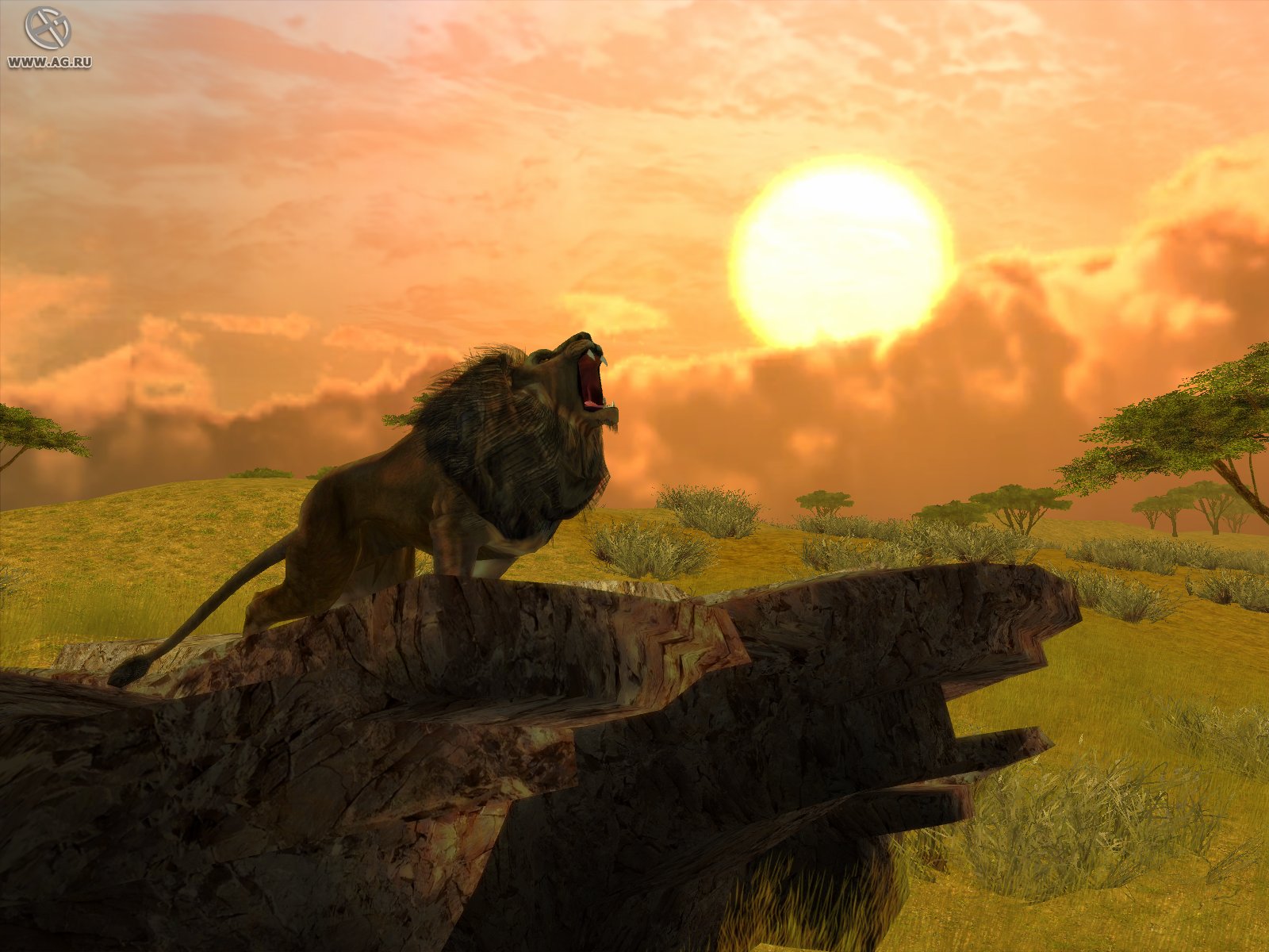 Скриншот из игры Cabela's African Safari - 32