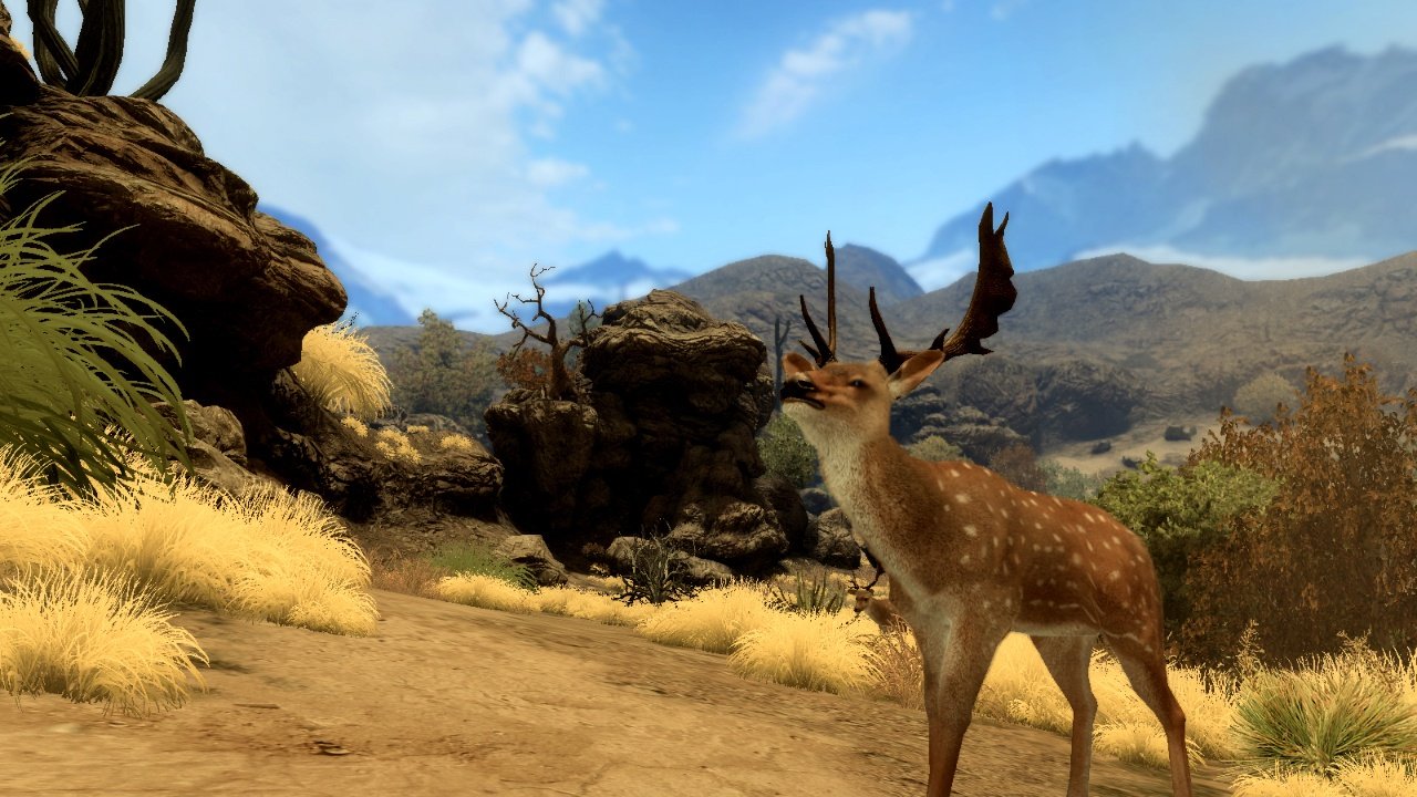 Скриншот из игры Cabela's Big Game Hunter 2010 - 9