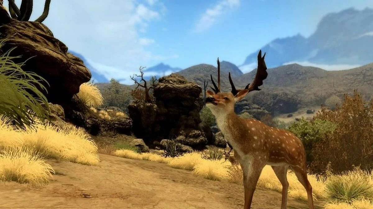 Скриншот из игры Cabela's Big Game Hunter 2010 - 15