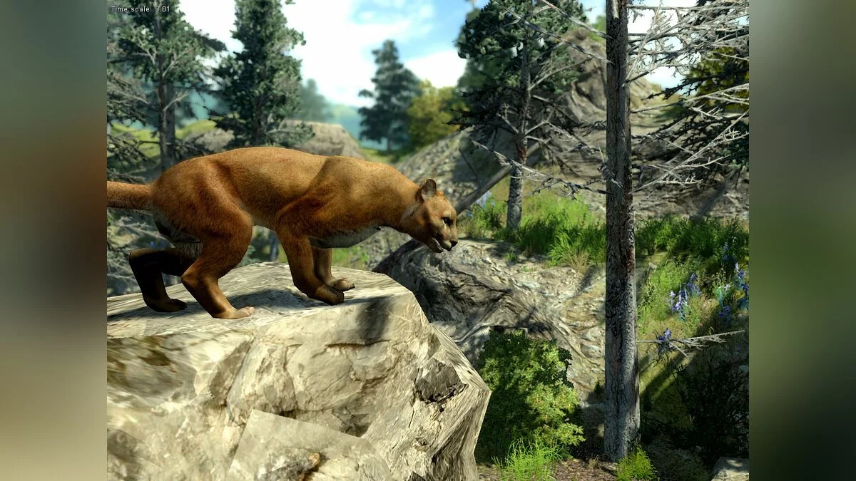 Скриншот из игры Cabela's Big Game Hunter 2010 - 32