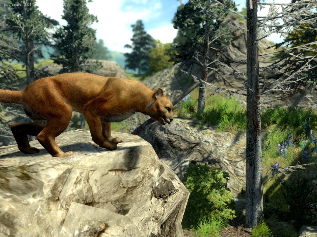 Скриншот из игры Cabela's Big Game Hunter 2010 - 43