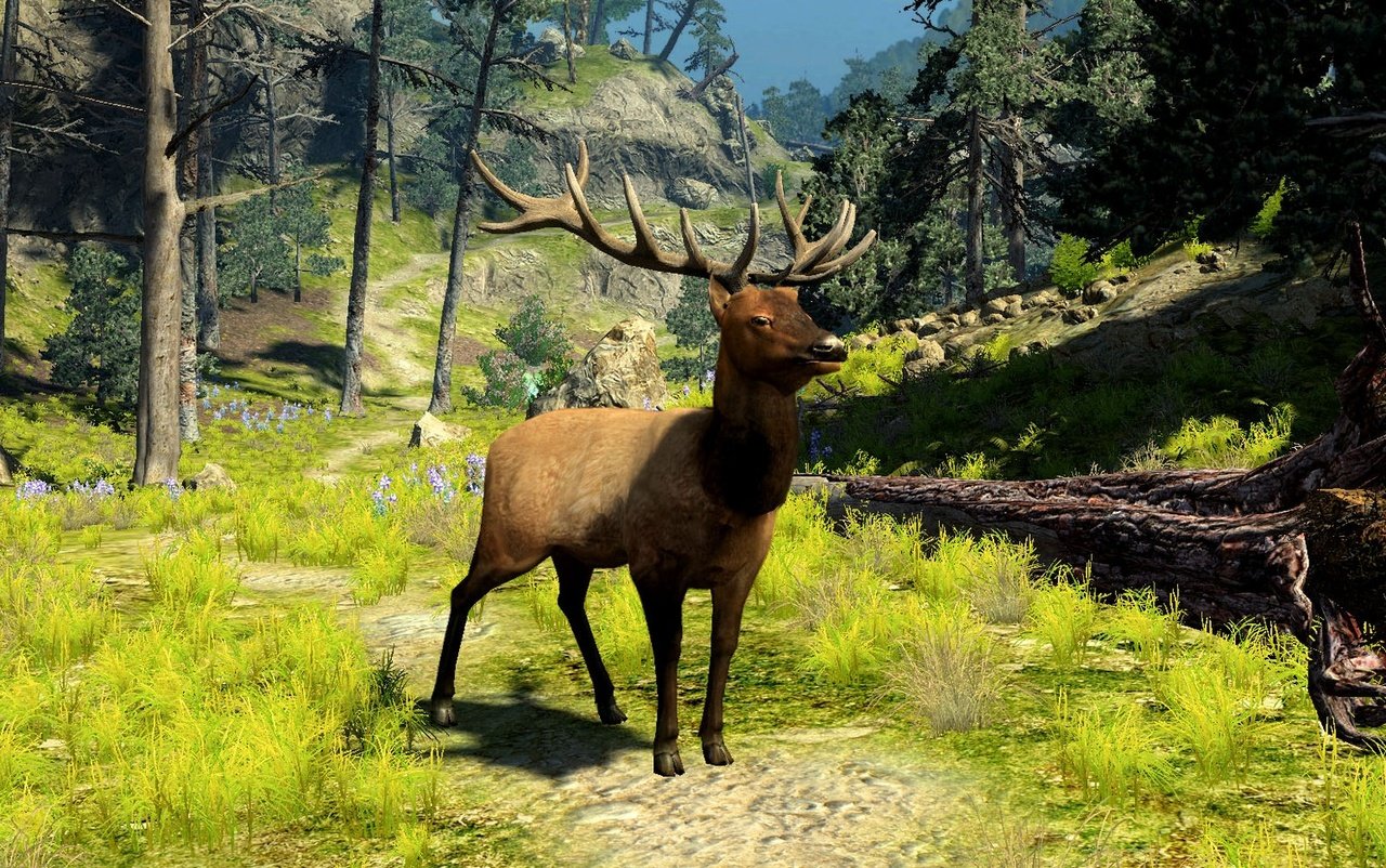 Скриншот из игры Cabela's Big Game Hunter 2010 - 21