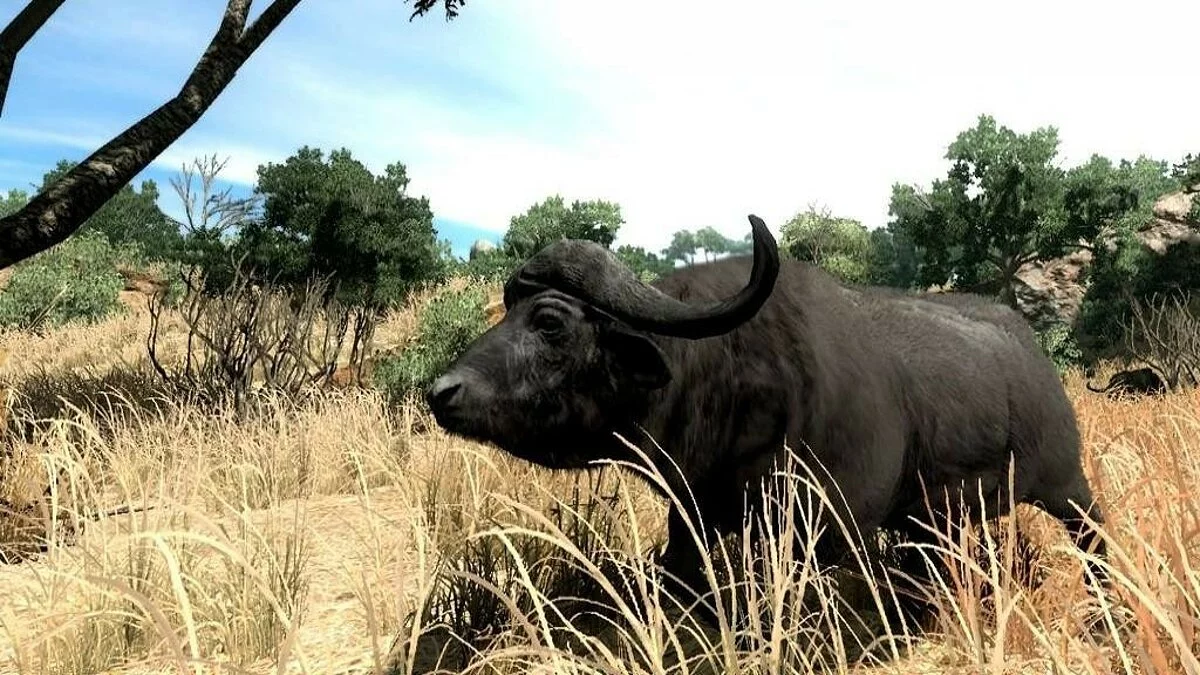 Скриншот из игры Cabela's Big Game Hunter 2010 - 34