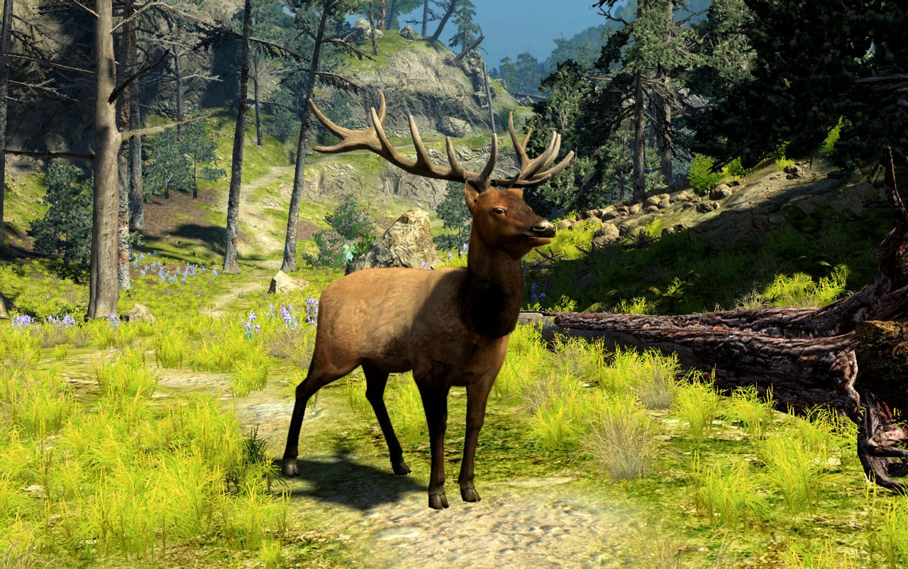 Скриншот из игры Cabela's Big Game Hunter 2010 - 23