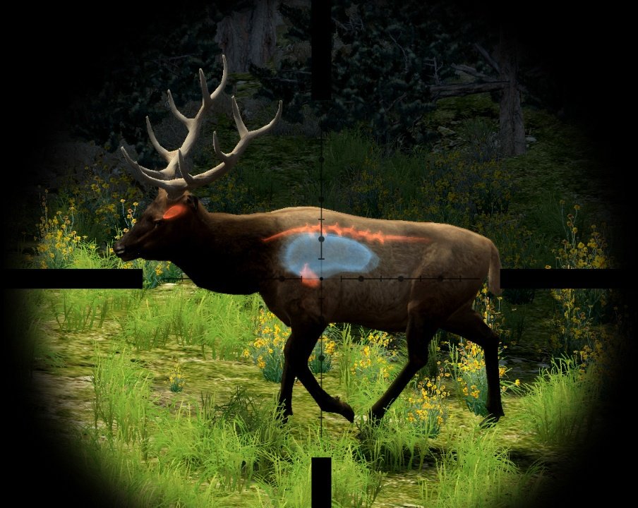 Скриншот из игры Cabela's Big Game Hunter 2010 - 28