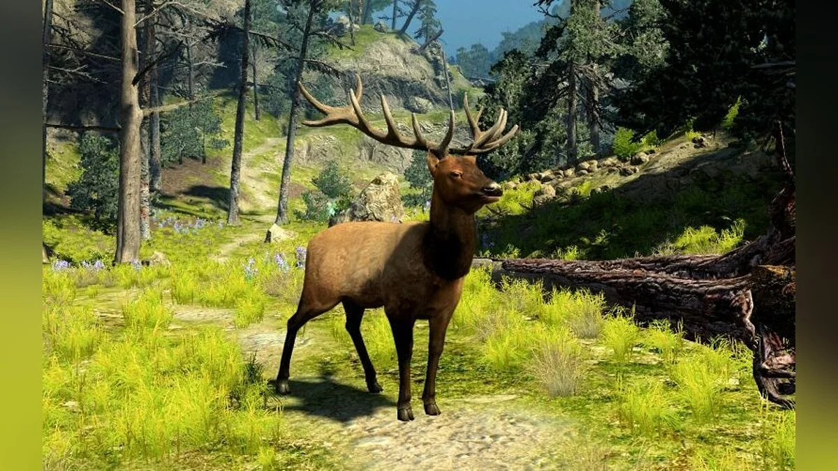 Скриншот из игры Cabela's Big Game Hunter 2010 - 27