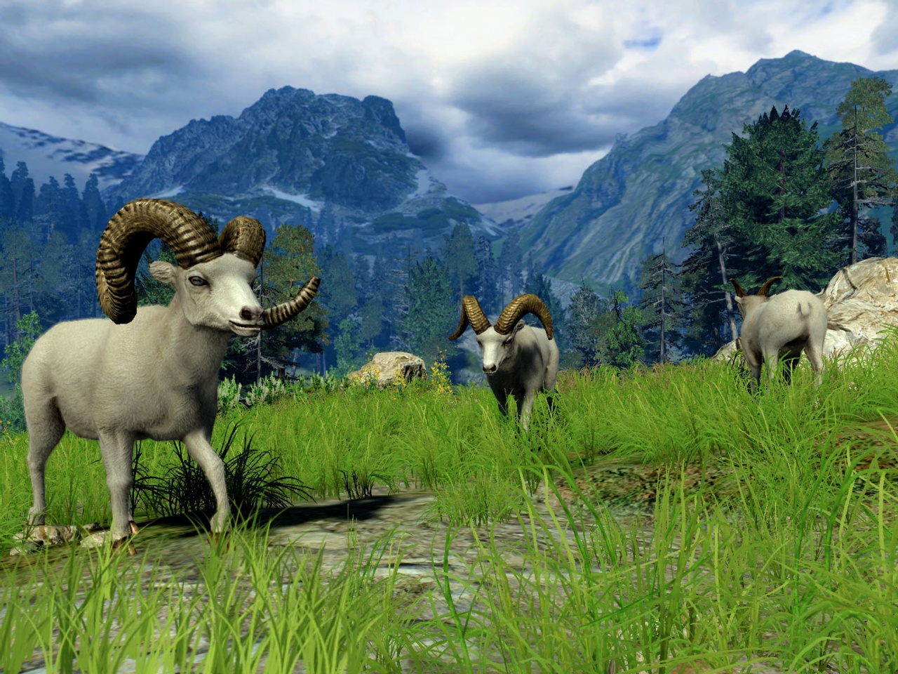 Скриншот из игры Cabela's Big Game Hunter 2010 - 31