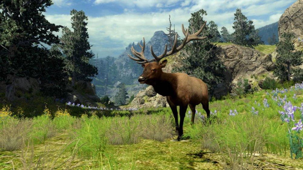 Скриншот из игры Cabela's Big Game Hunter 2010 - 45