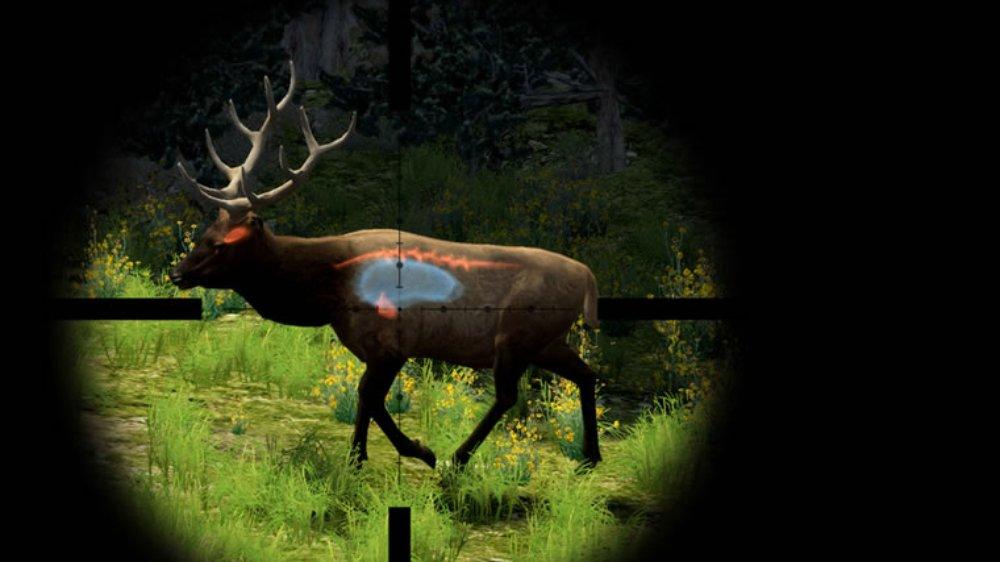 Скриншот из игры Cabela's Big Game Hunter 2010 - 35