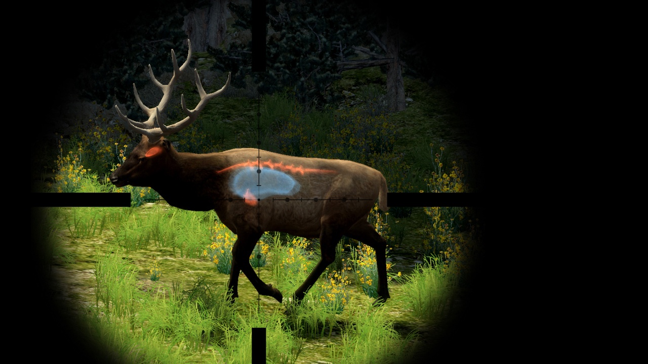 Скриншот из игры Cabela's Big Game Hunter 2010 - 10