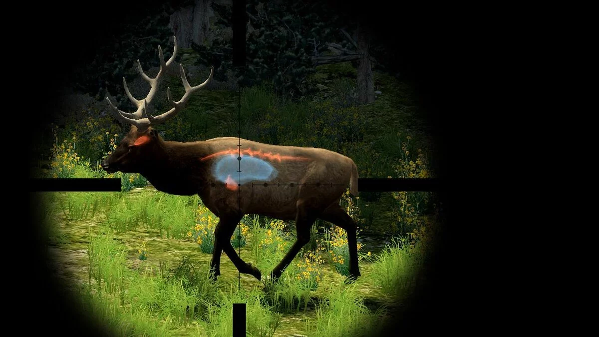 Скриншот из игры Cabela's Big Game Hunter 2010 - 20