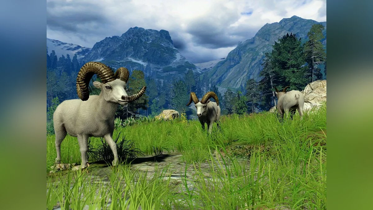 Скриншот из игры Cabela's Big Game Hunter 2010 - 38