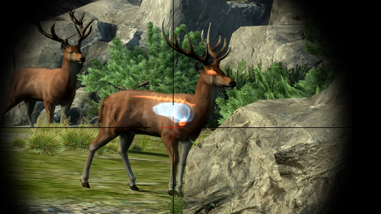 Скриншот из игры Cabela's Big Game Hunter 2010 - 22