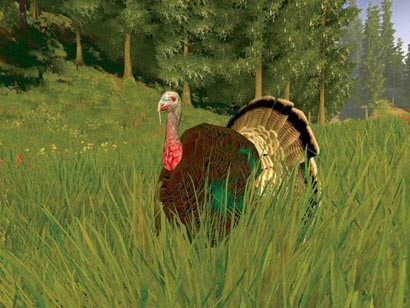 Скриншот из игры Cabela's Big Game Hunter: Trophy Bucks - 11