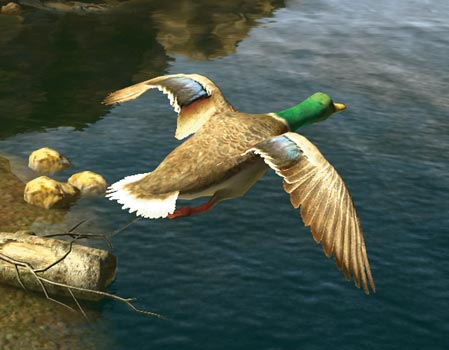 Скриншот из игры Cabela's Big Game Hunter: Trophy Bucks - 2