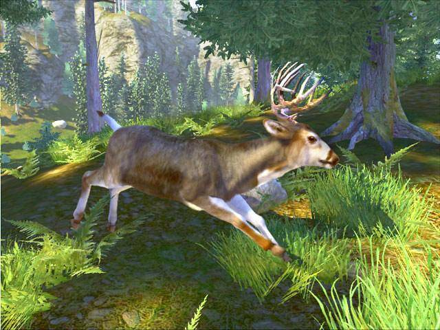 Скриншот из игры Cabela's Big Game Hunter: Trophy Bucks - 5