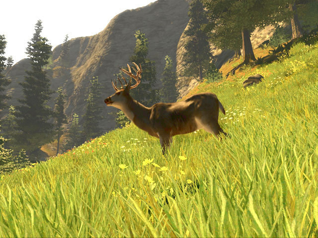 Скриншот из игры Cabela's Big Game Hunter: Trophy Bucks - 10