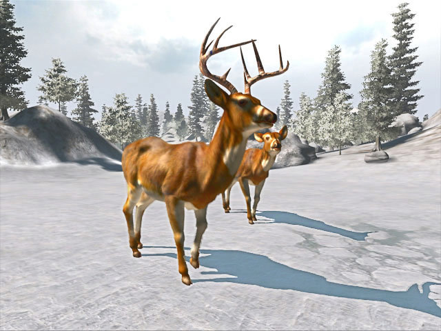 Скриншот из игры Cabela's Big Game Hunter: Trophy Bucks - 1
