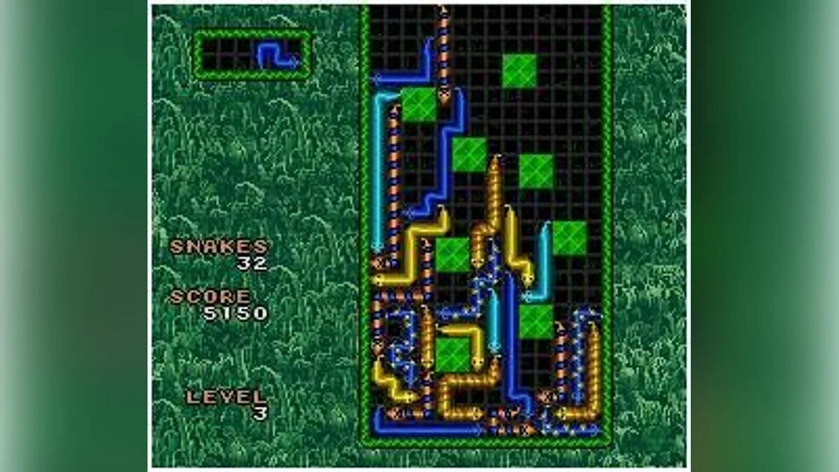 Скриншот из игры WildSnake - 5