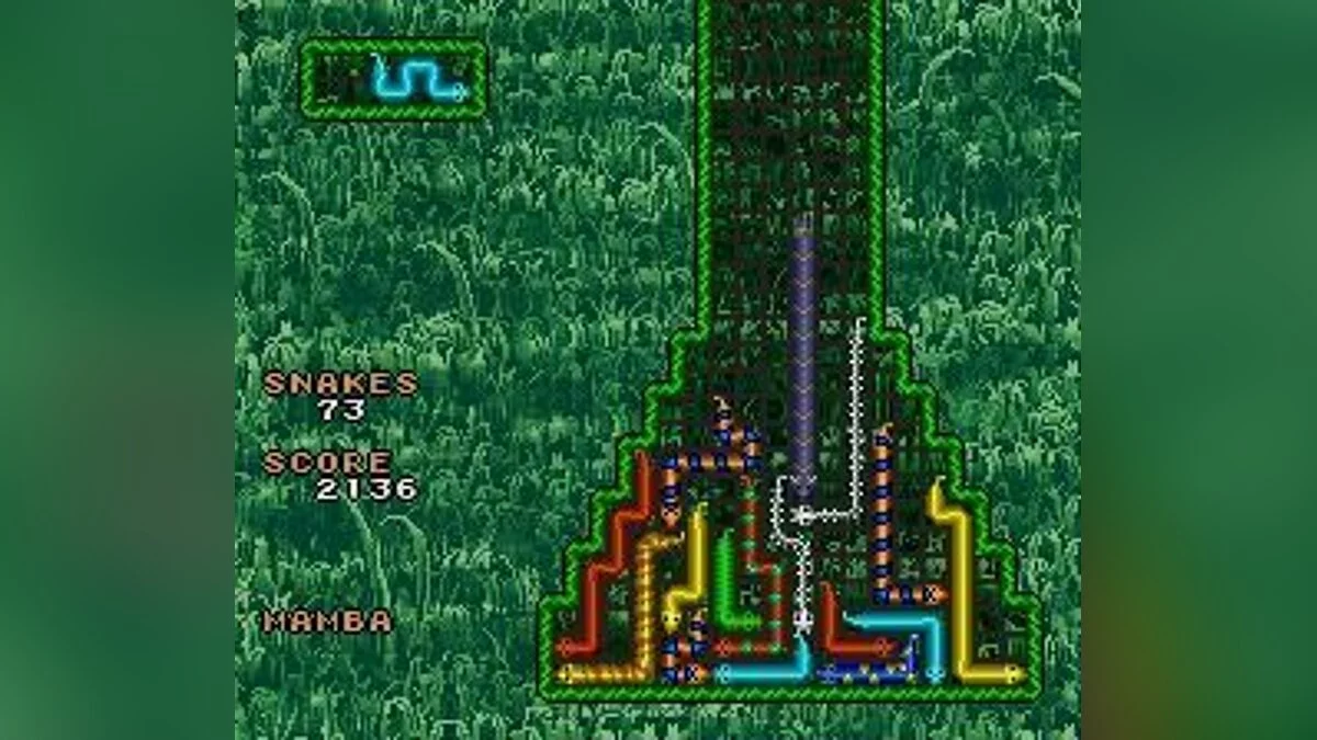 Скриншот из игры WildSnake - 9