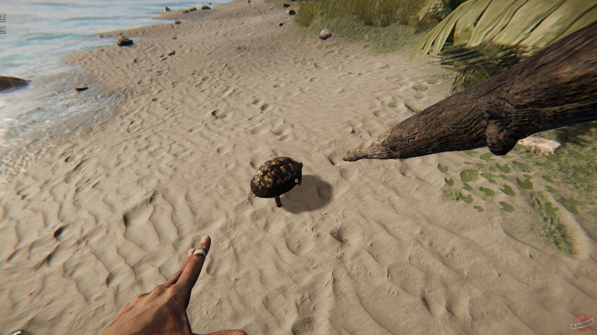 Скриншот из игры Project Castaway - 15