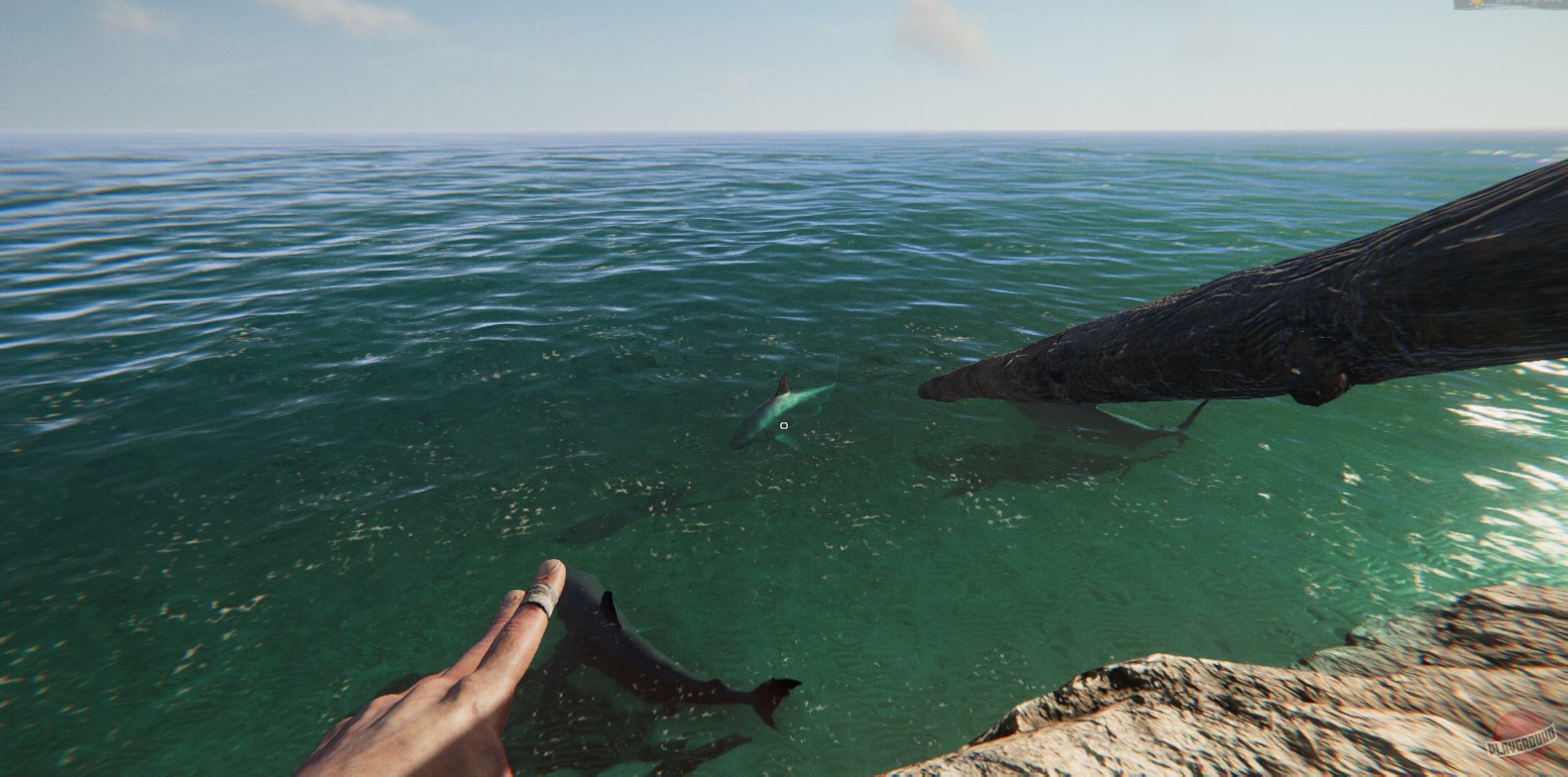 Скриншот из игры Project Castaway - 11