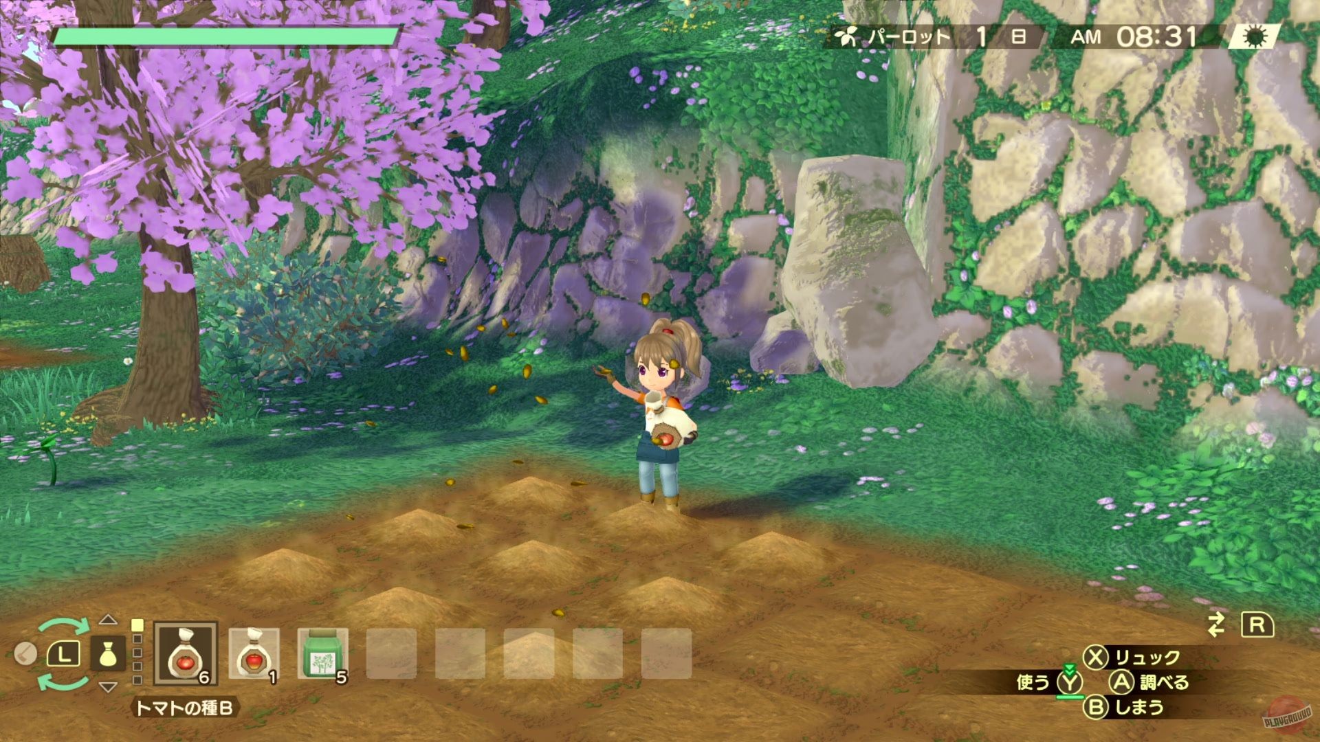 Скриншот из игры Story of Seasons: A Wonderful Life - 19