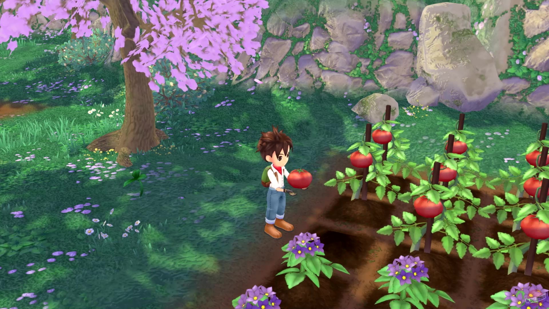 Скриншот из игры Story of Seasons: A Wonderful Life - 44