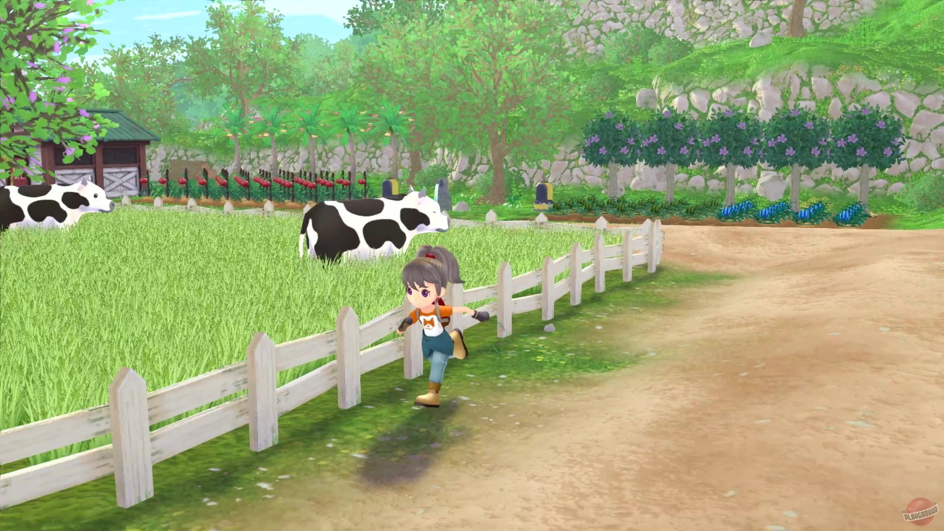 Скриншот из игры Story of Seasons: A Wonderful Life - 31