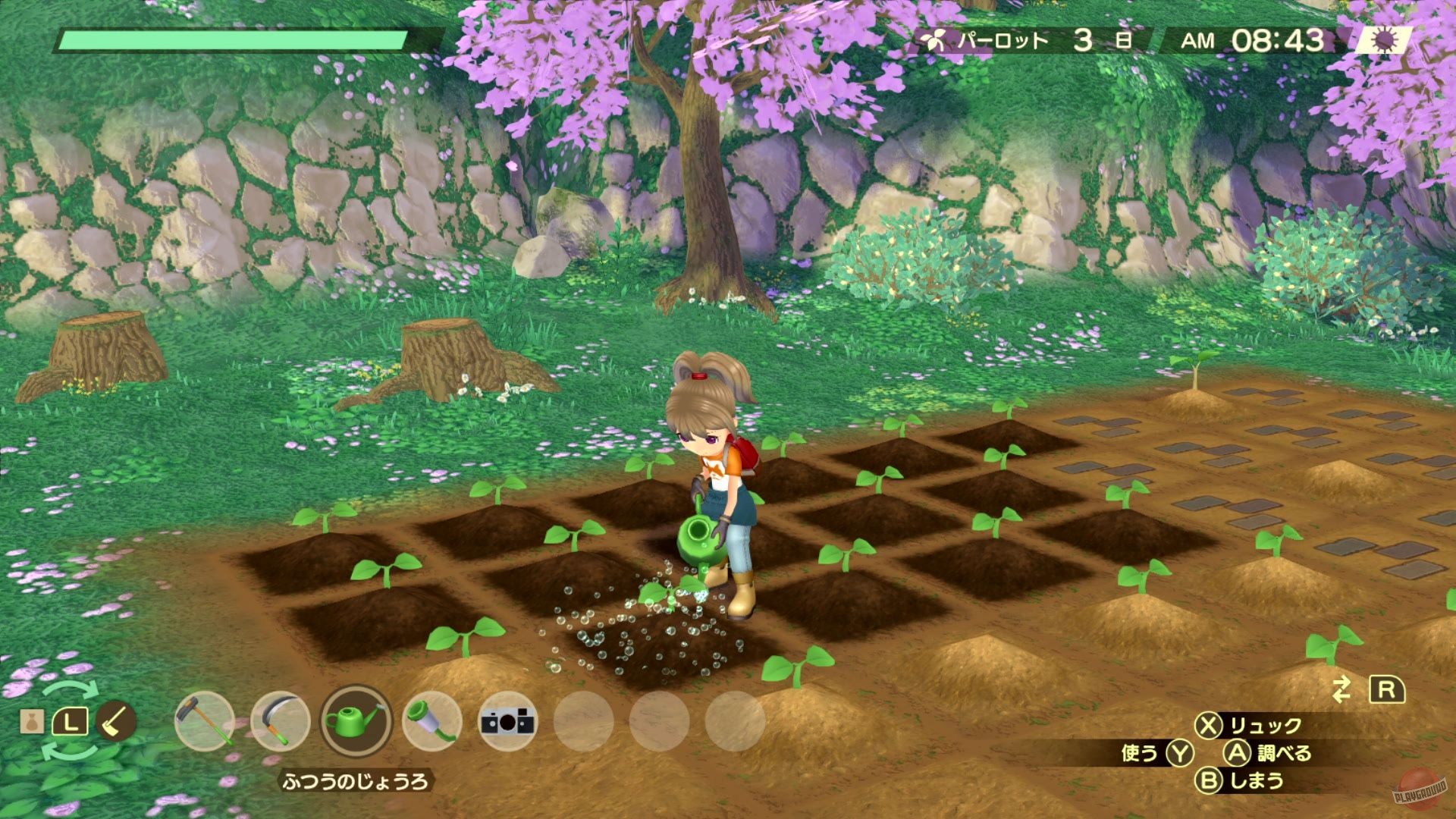 Скриншот из игры Story of Seasons: A Wonderful Life - 35
